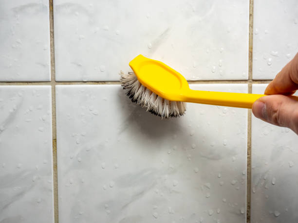 Best Home Mold Removal  in Dacula, GA
