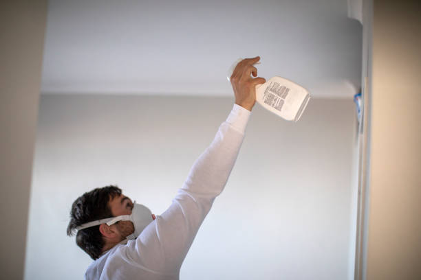 Best Toxic Mold Removal  in Dacula, GA