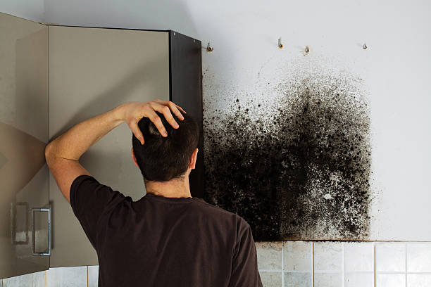 Best Mold Cleaning Services  in Dacula, GA
